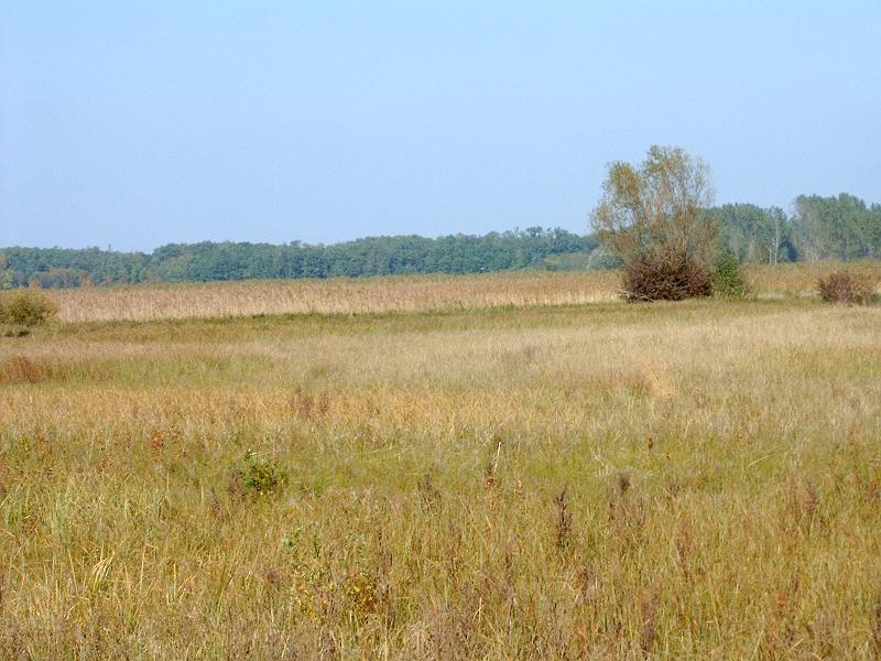 2010.10.09. 101.jpg
